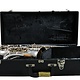 Marigaux Used SML (Strasser Marigaux Lemaire) Rev. D Silver Plated Alto Saxophone - 93XX