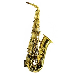Yanagisawa Used Yanagisawa AWO10 Alto Saxophone - 003613XX