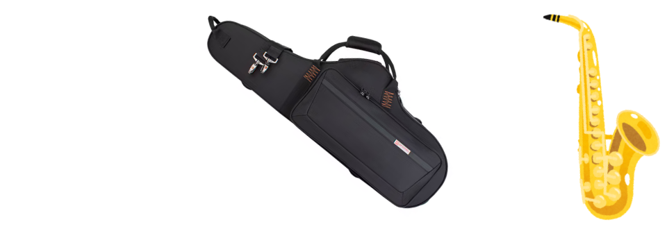 Saxophone cases
