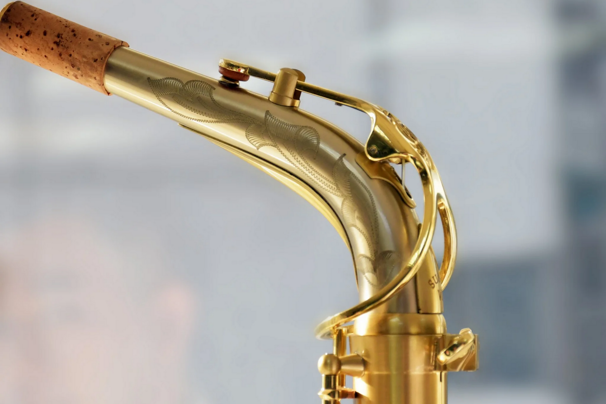 P. Mauriat P. Mauriat LeBravo 200 Alto Saxophone