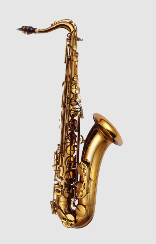 P. Mauriat P. Mauriat Grand Dreams 285 Tenor Saxophone