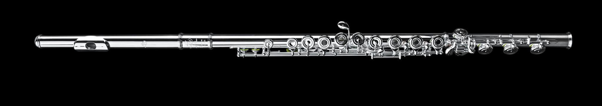 Di Zhao Di Zhao DZ601 Flute