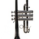 Schilke Used Schilke G1L E/F/G Trumpet - 341XX
