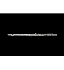 Di Zhao Di Zhao DZ601 Flute