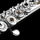 Di Zhao Di Zhao DZ601 Flute