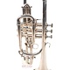 Bach Used Bach Stradivarius 37 Cornet - 335XX