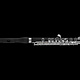 Di Zhao Di Zhao DZP102 Piccolo
