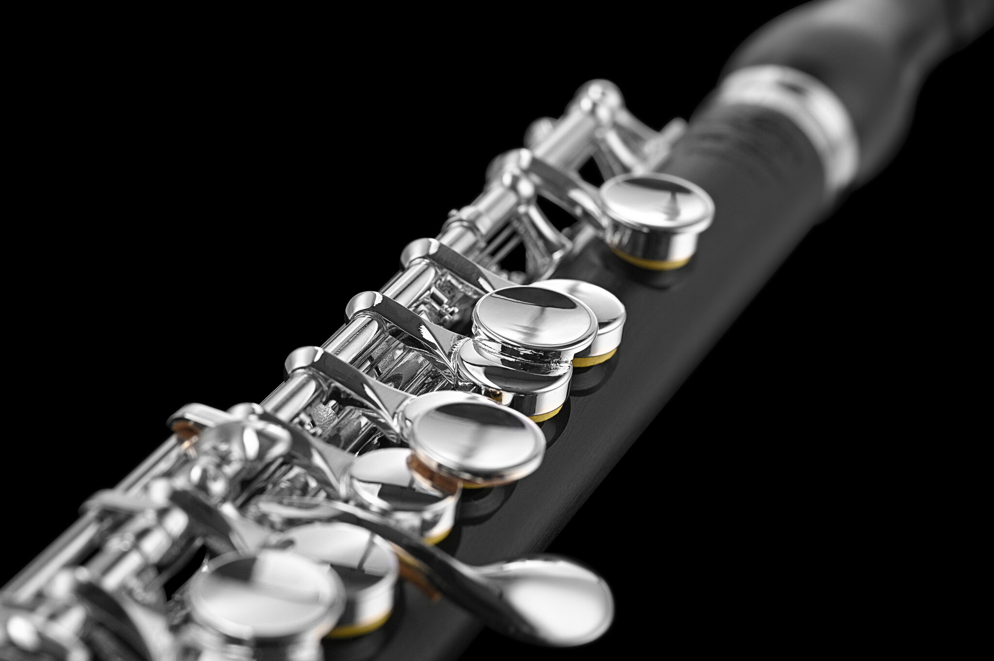Di Zhao Di Zhao DZP201 Piccolo