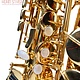 Selmer Selmer La Voix II Alto Saxophone - 91008XX