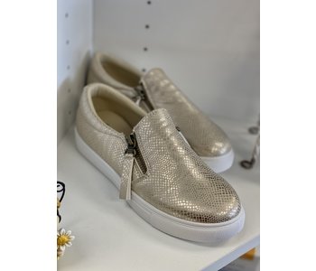 FAST-35 TENIS