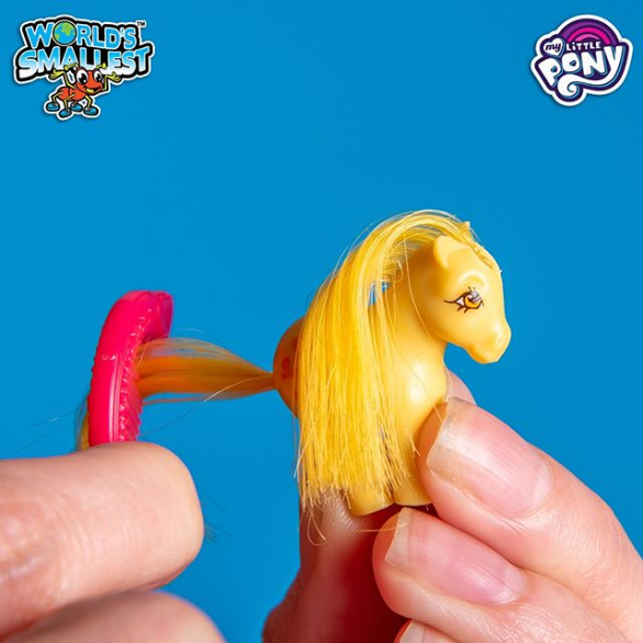 world's smallest my little pony