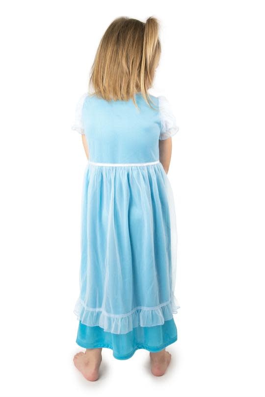 little adventures elsa dress