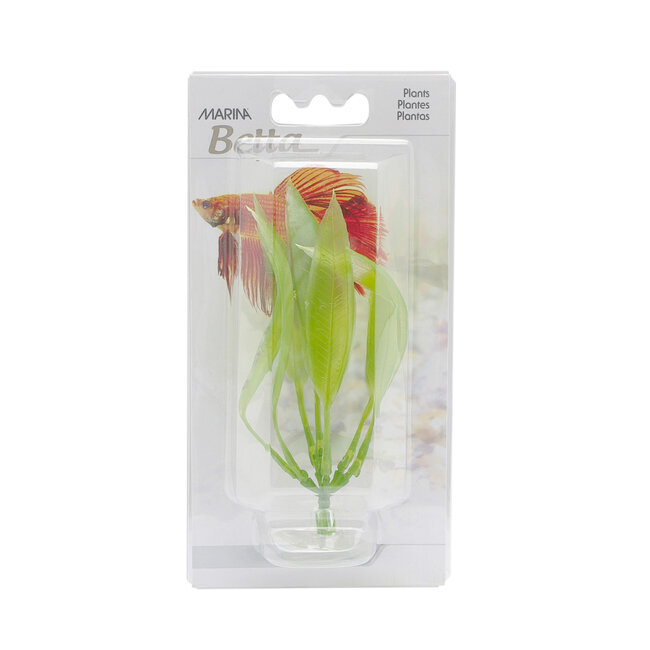 Marina Betta Amazon Sword Plant With Suction Cup - 12.7 cm (5")