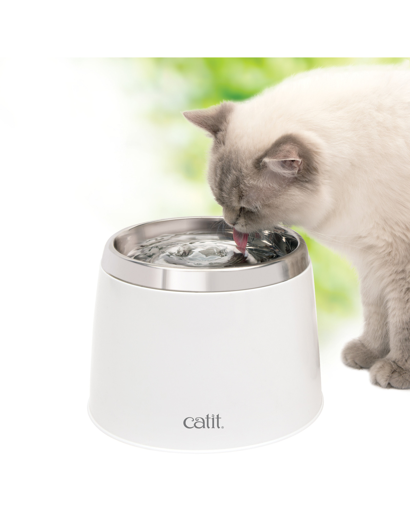 Stainless Steel Top Drinking Fountain 2L Western Pet Supply