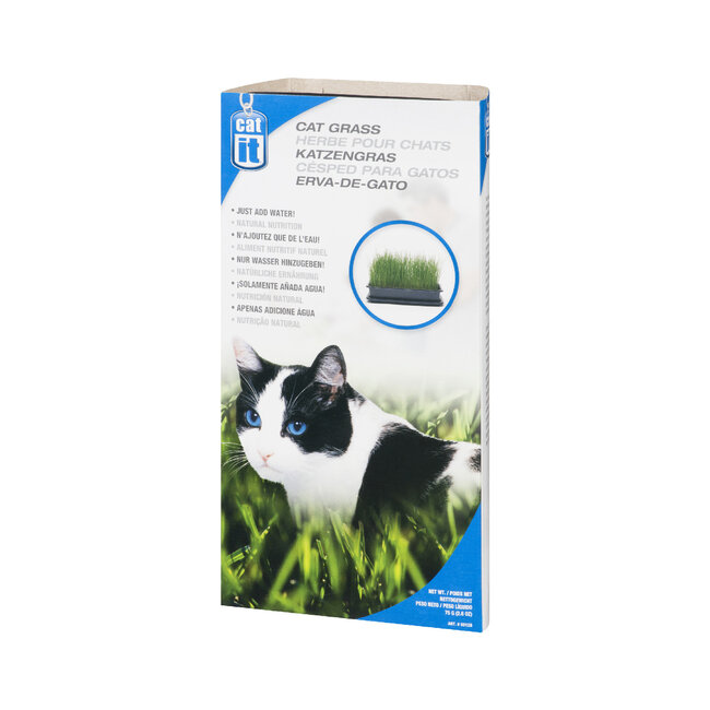 Cat Grass 85g