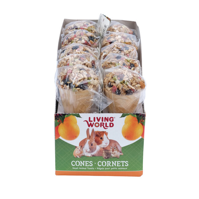 Living World Small Animal Cone Fruit Flavour 40g (1.4oz)