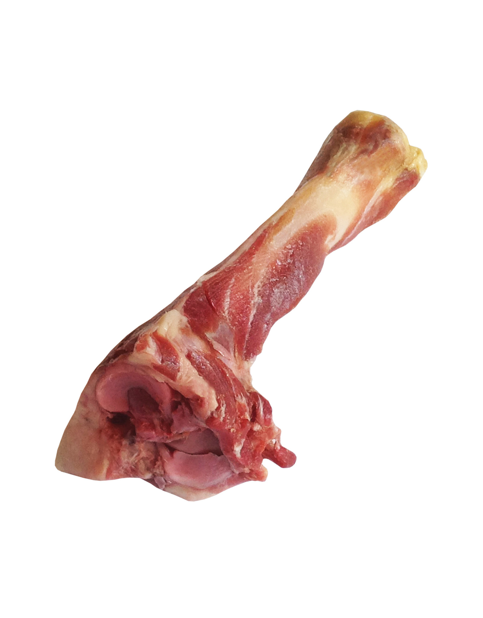 prosciutto bone for dogs