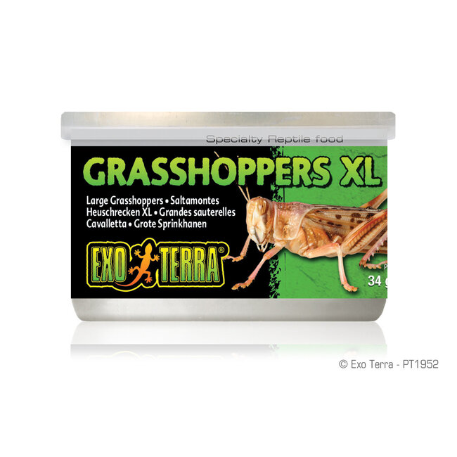 Canned Grasshoppers XL 34g