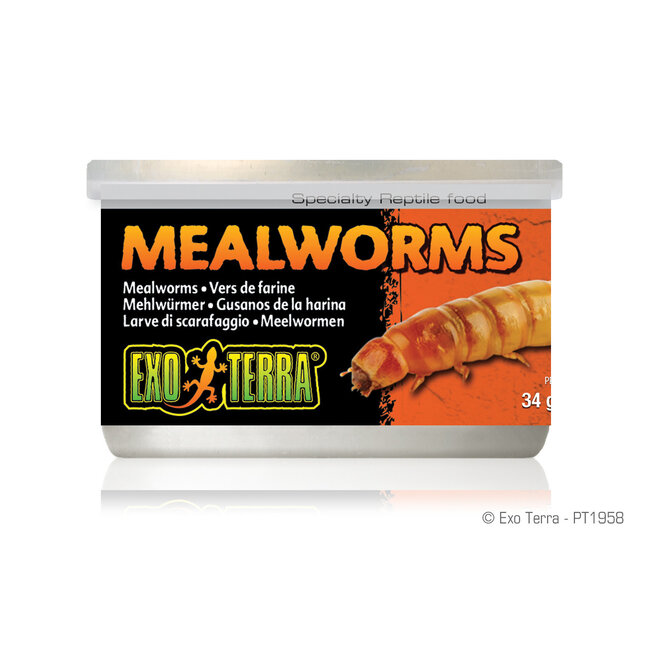 Canned Mealworms 34g