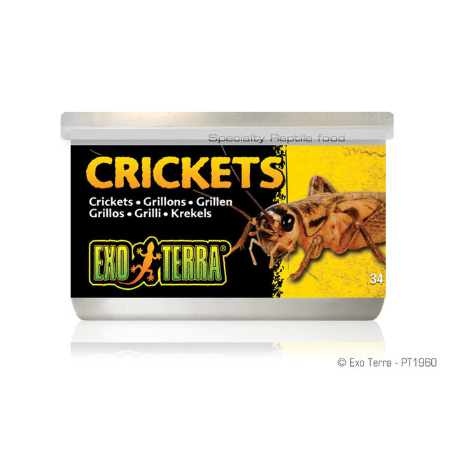 Canned Crickets 34g