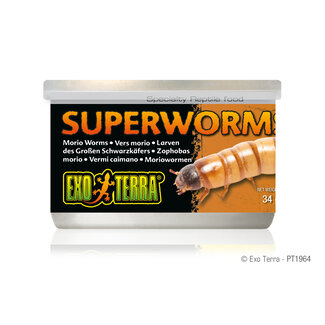 Exo Terra Canned Super Worms 34g