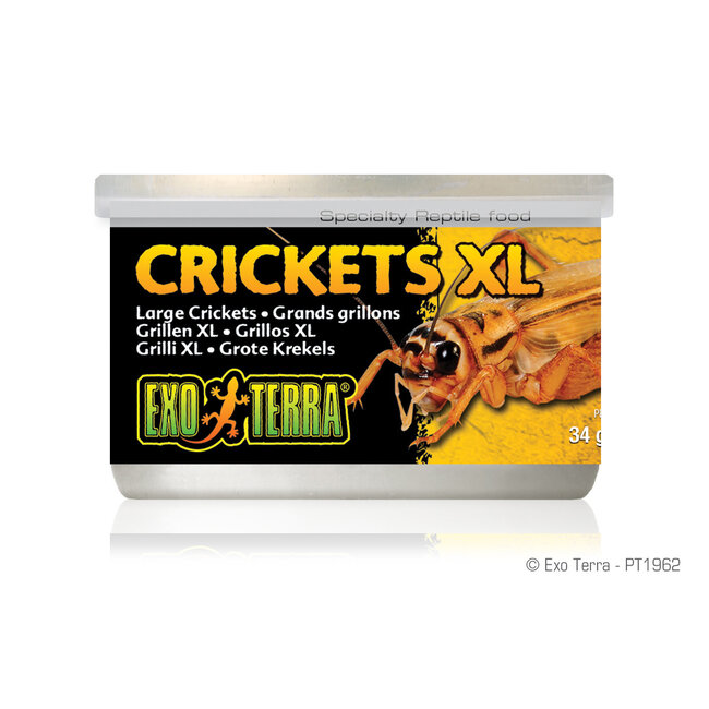 Canned Crickets XL 34g