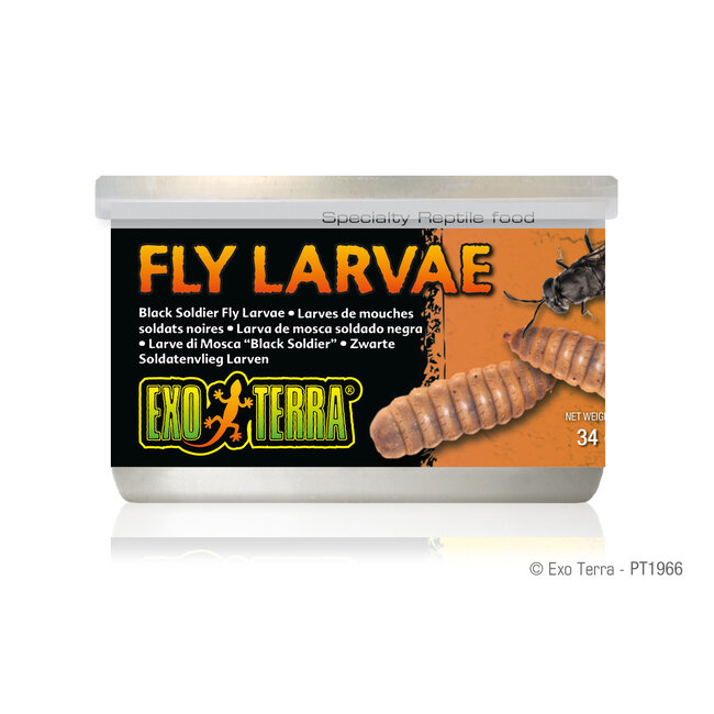 Canned Black Soldier Fly Larvae 34g