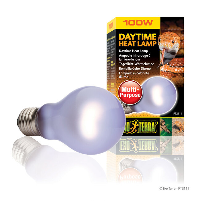 Daytime Heat Lamp A19/100W