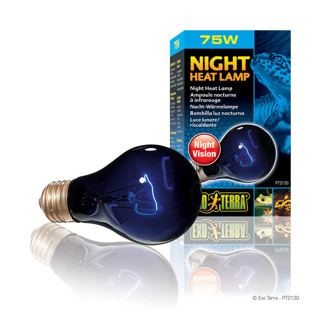 Night Heat Lamp - A19 / 75W