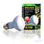 Daylight Basking Spot Lamp R20/50W