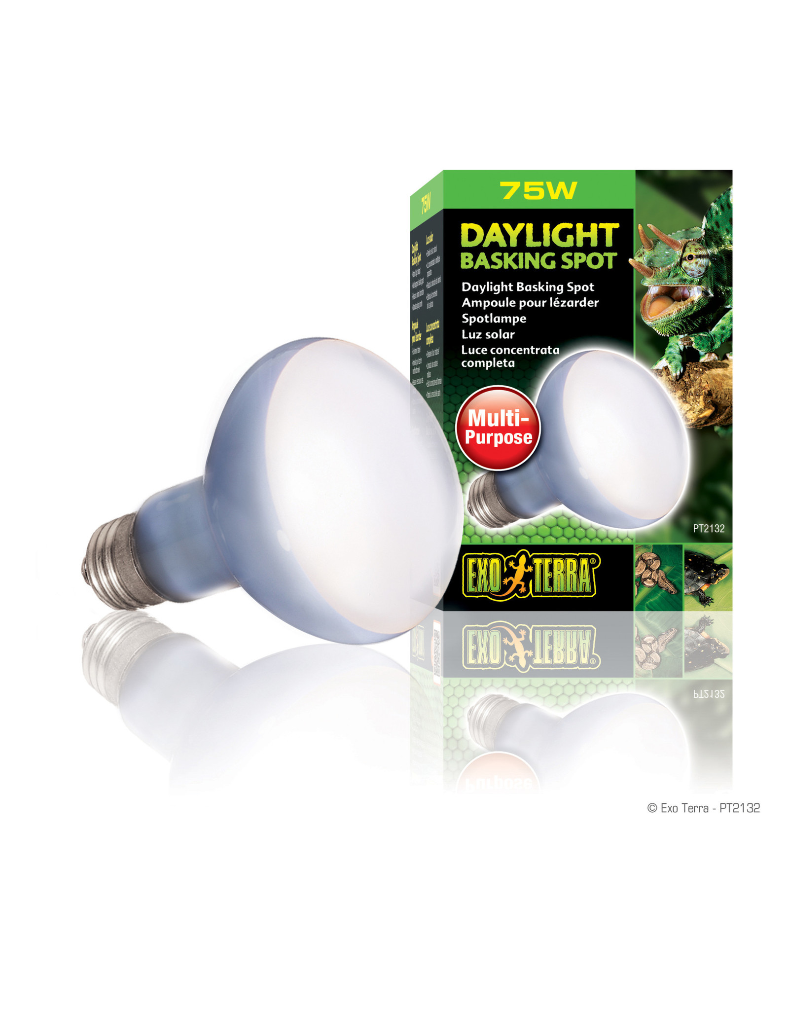 Exo Terra Daylight Basking Spot Lamp R20/75W