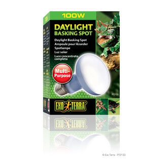 Exo Terra Daylight Basking Spot Lamp R25/100W
