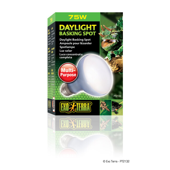Daylight Basking Spot Lamp R20/75W