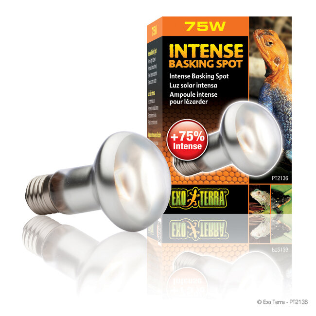 Intense Basking Spot S20/75W