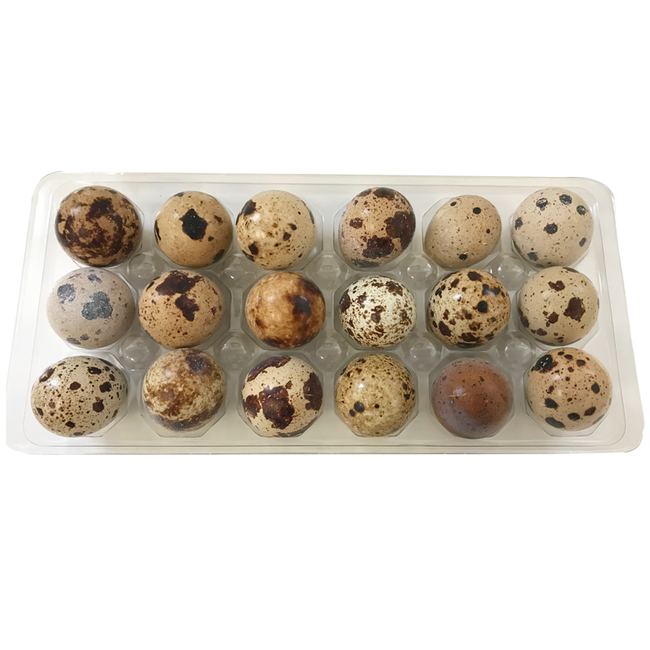 Frozen Quail Eggs 18ct