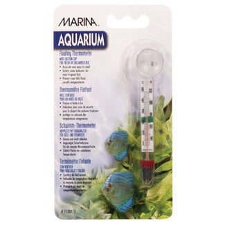 Marina Marina Floating Thermometer with Suction Cup - Celsius and Fahrenheit