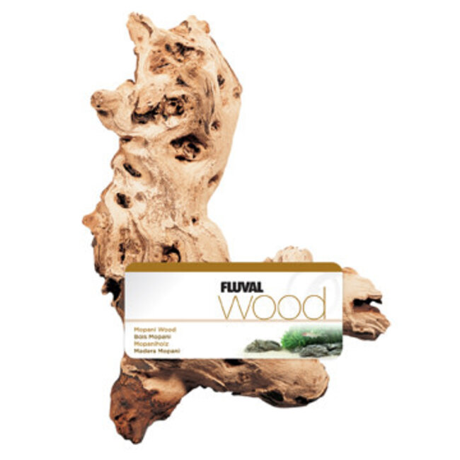 Fluval Mopani Drift wood - Medium - 20 x 35 cm (7.8 X 13.8 in)