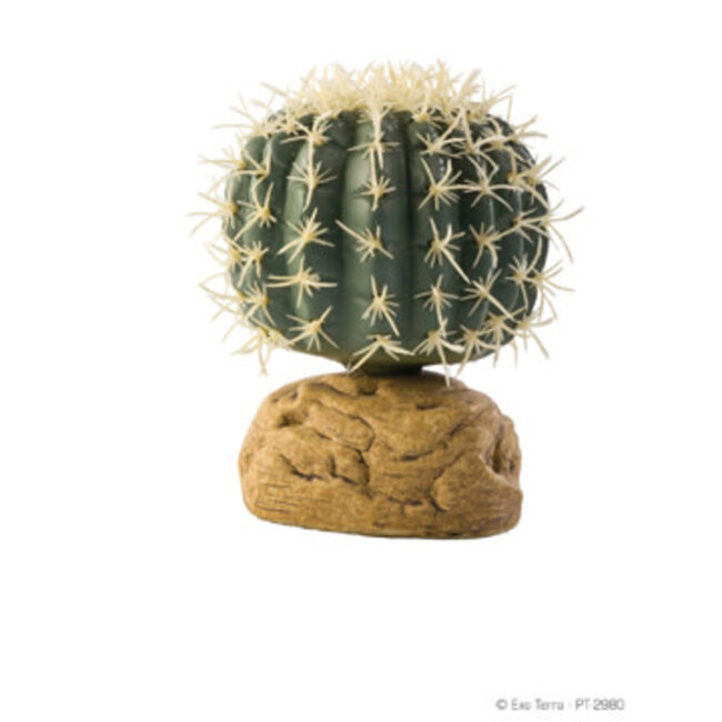 Desert Plant Barrel Cactus Small