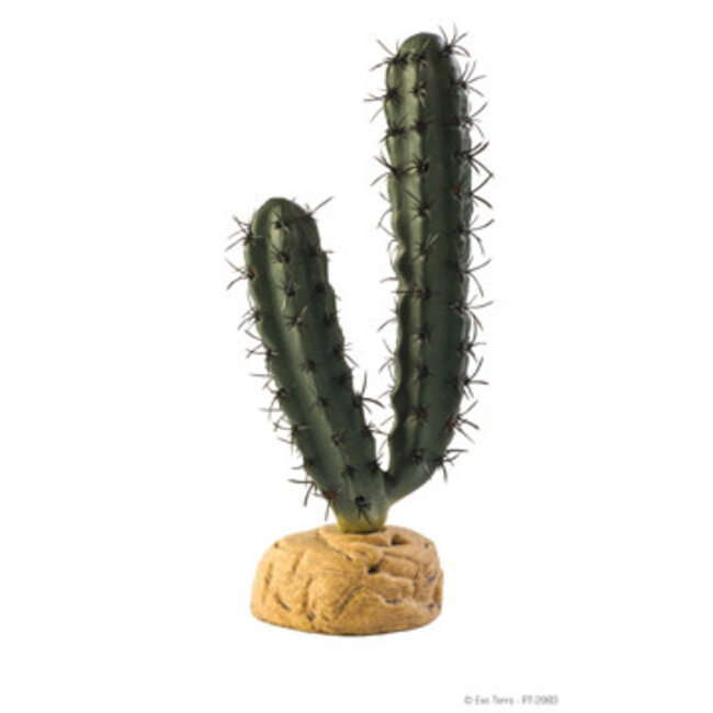 Desert Plant Finger Cactus