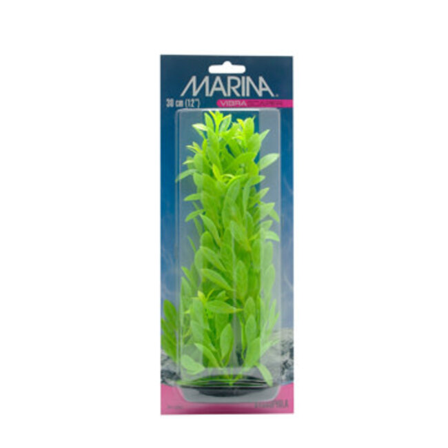 Marina Vibrascaper Plastic Plant, Hygrophilia Green-Dayglo, 30 cm (12 in)