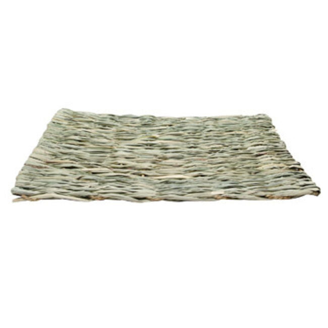 Living World Hangout Grass Mat - Medium - 33 x 23 cm (13 x 9 in)