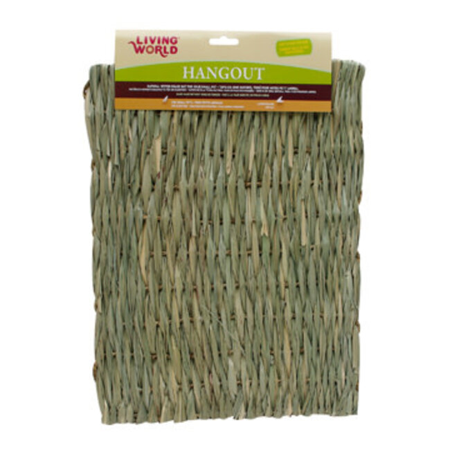 Living World Hangout Grass Mat - Large - 48 x 37 cm (19 x 15 in)