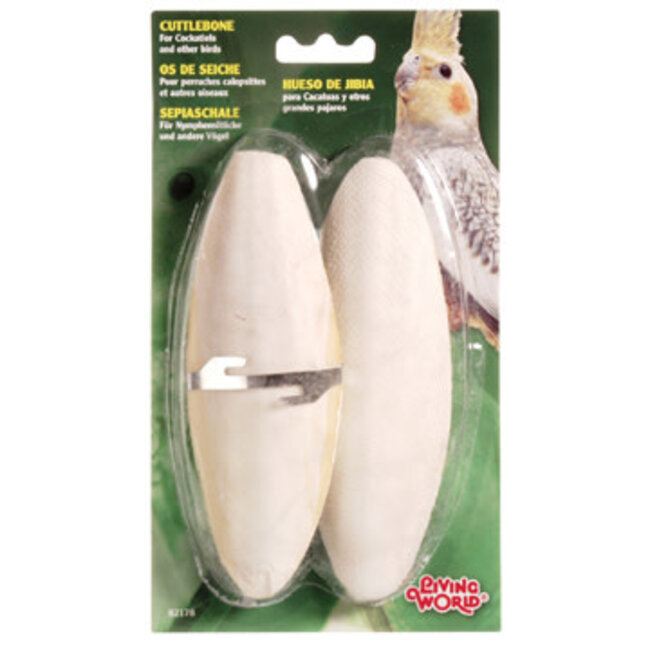 Cuttlebone with Holder - Large - 15 - 18 cm (6in - 7in) - Twinpack