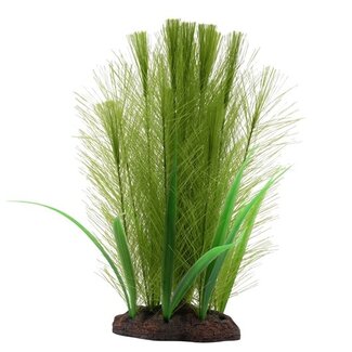 Fluval Fluval Green Feather/Valisneria Plant, 8"
