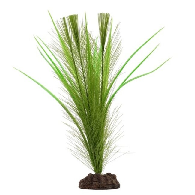 Fluval Green Parrot's Feather/Valisneria Plant, 12"