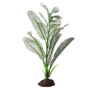 Fluval Fluval Madagascar Lace/Sagittarius Plant, 16"