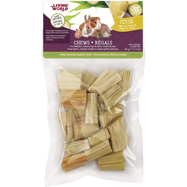 Living World Small Animal Chews - Sugarcane Stalk Cubes - 40 g (1.4 oz)