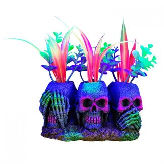 Marina Marina iGlo 3 Skulls with Plants - 3"