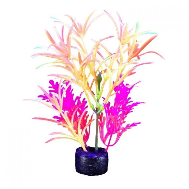 Marina iGlo Plant - 7.5" - Orange/Yellow/Pink