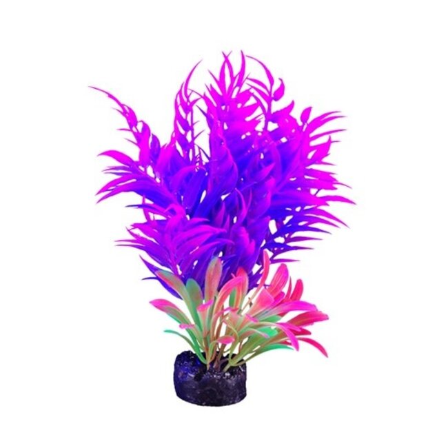 Marina iGlo Plant - 5.5" - Pink/Purple